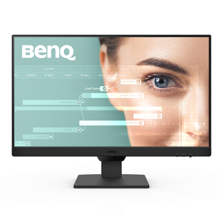 BenQ GW2490 Office Monitor - FHD IPS Panel, 100 Hz