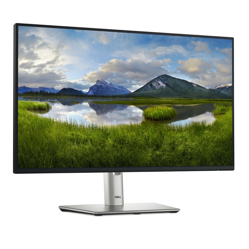 DELL P2425H Office Monitor