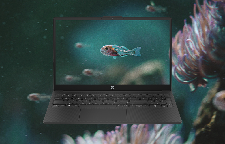 HP 255 G10 8X8R2ES_15