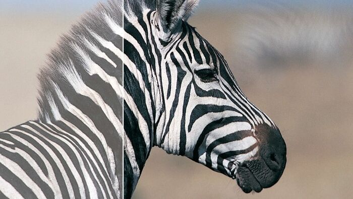 Philips 242B9T Touch Monitor- IPS-Panel, Lautsprecher_4