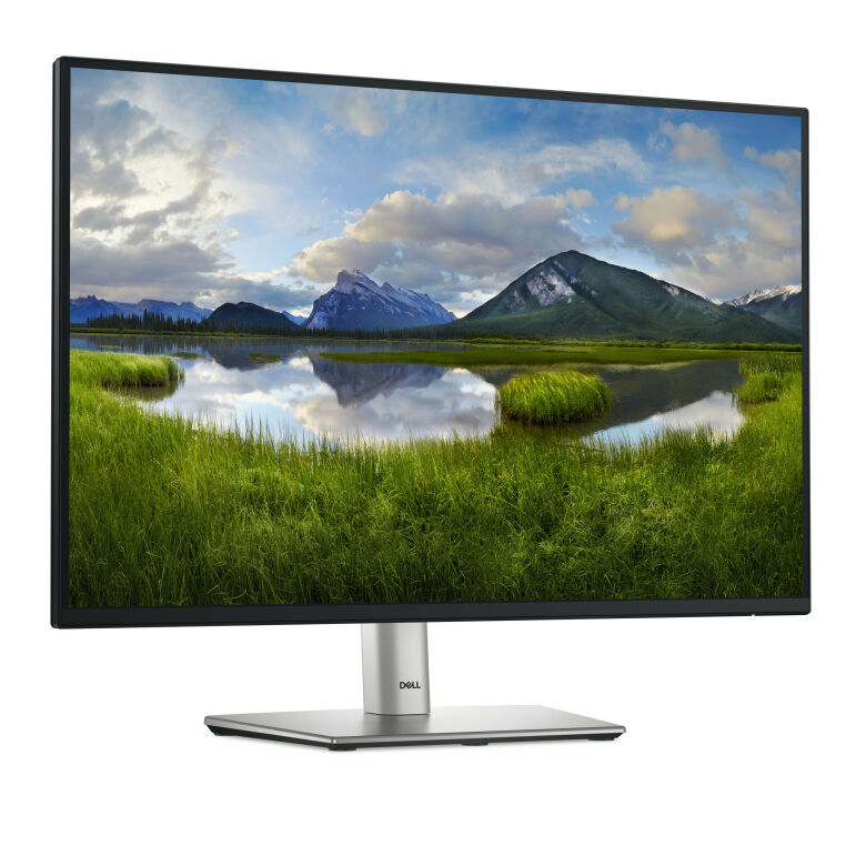DELL P2425E Office Monitor_1