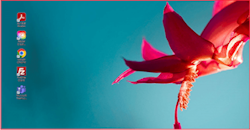 ASUS ROG Swift OLED PG27UCDM Gaming Monitor_7