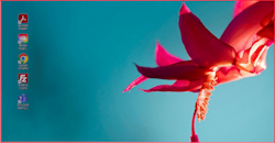 ASUS ROG Swift OLED PG27UCDM Gaming Monitor_9