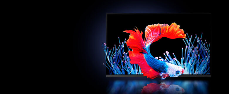 Acer Predator X45 (X45bmiiphuzx) 45 Zoll UWQHD OLED Gaming Monitor _4