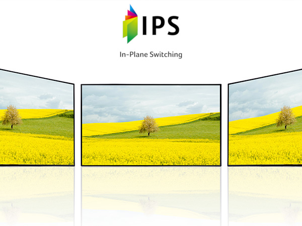 Acer SA2 (SA322QUEbmipx) 31,5 Zoll QHD Monitor_2