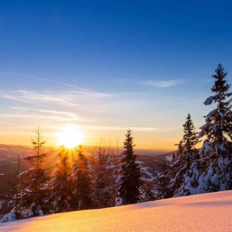 BenQ PhotoVue SW272Q Monitor 68,58cm (27 Zoll)_24