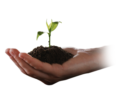 D-Link DMS-108 Unmanaged Switch_5