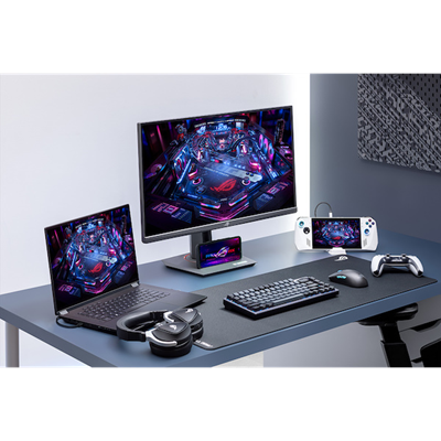 ASUS ROG Strix XG259QNS 24,5 Zoll FHD, 380Hz, 0,03 ms, ELMB Sync_2