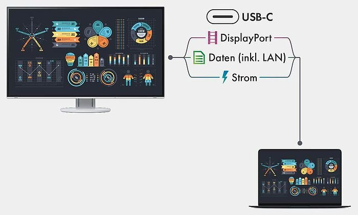 Eizo FlexScan EV2485-BK Office Monitor - IPS, USB-C, HDMI, DP_2