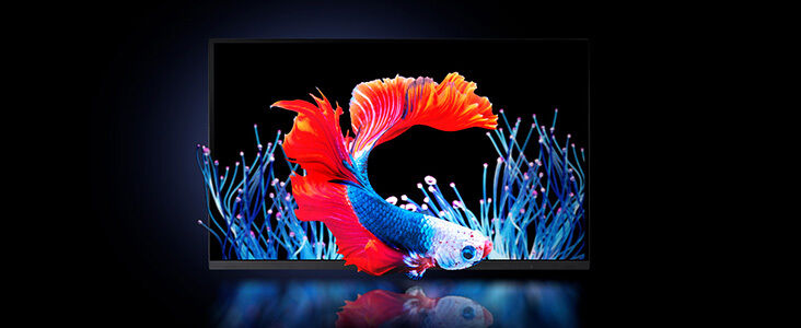 Predator X32 X5 Bild - Lebendige Realität