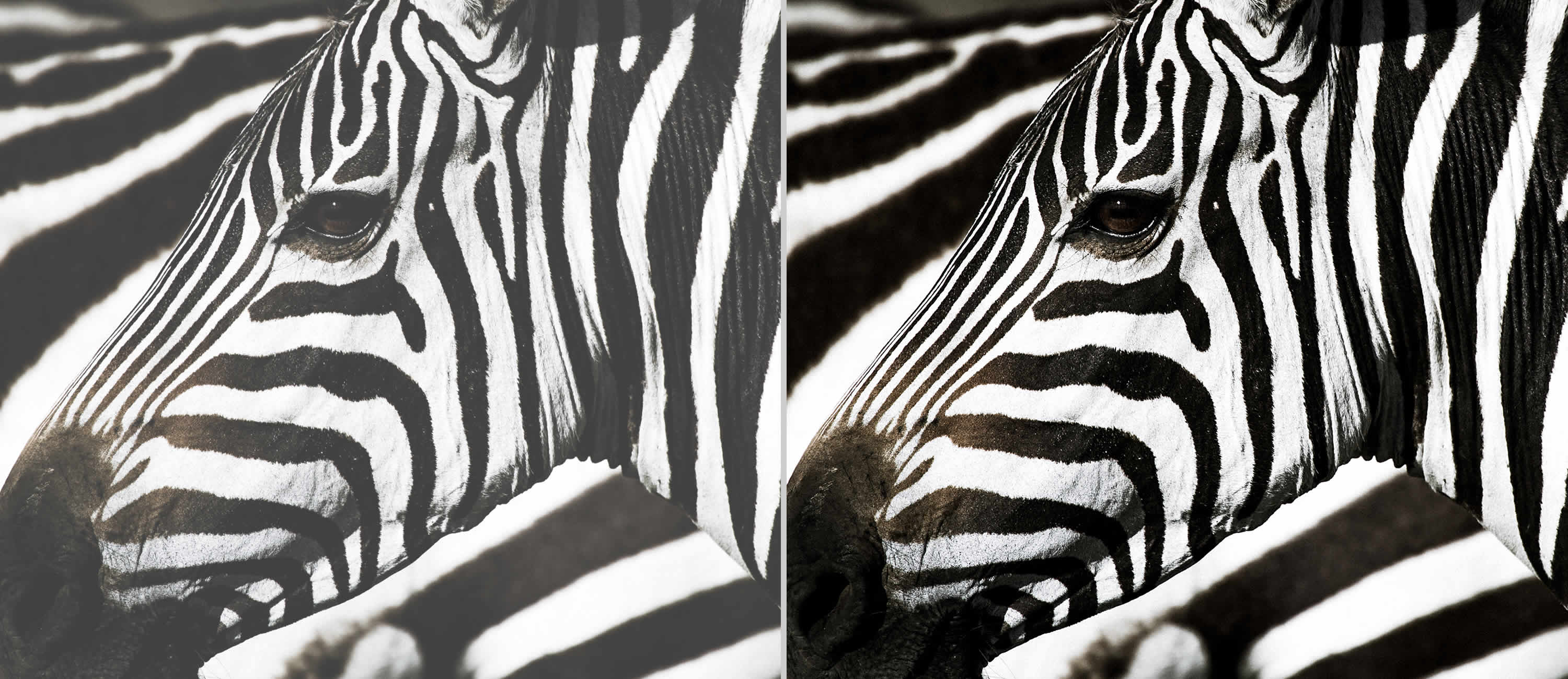 Optoma W400LVe, WXGA, 4.000 ANSI Lumen_3