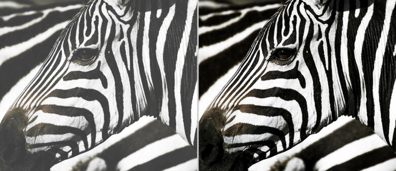 Optoma EH401 DLP-Beamer - Full-HD, 4.000 ANSI Lumen, 120 Hz_3