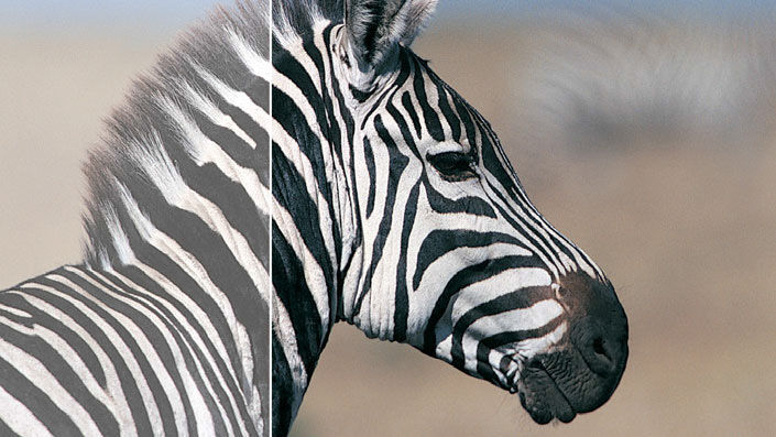 Philips 243V7QJABF Full HD - IPS-Panel, Lautsprecher_6