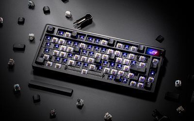 ASUS ROG Azoth Extreme RGB Gaming Tastatur mit 75% Layout_14