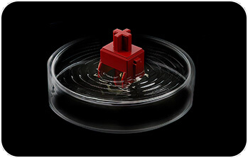 ASUS ROG Azoth White RGB Gaming Tastatur mit 75% Layout_11