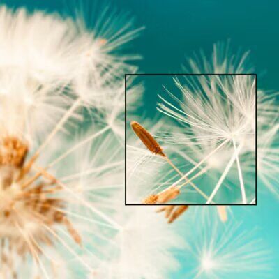 Acer Vero PL2535i Laser DLP 4k Beamer_6