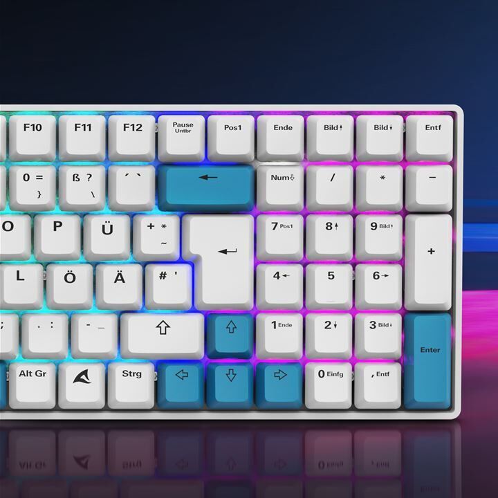 Sharkoon SKILLER SGK50 S2 PBT Gaming Tastatur _4