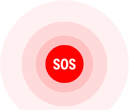 Apple Watch SE Polarstern Aluminium Sport Band Polarstern M/L_11