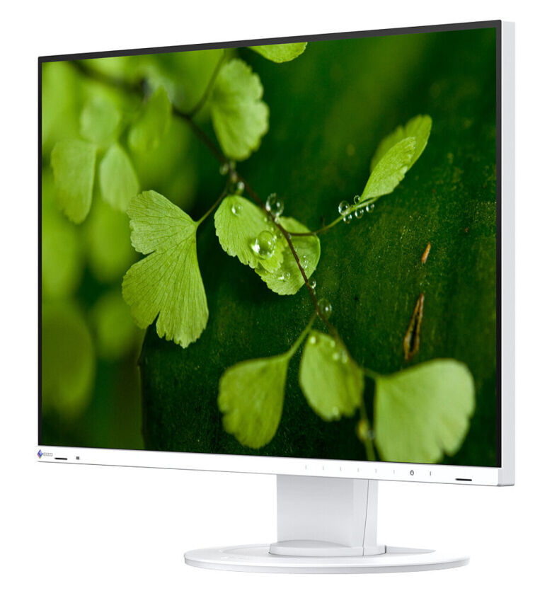 EIZO FlexScan 24 Zoll EV2410R-BK                                    _3