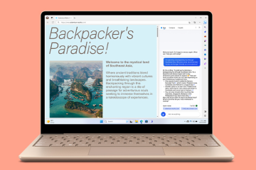 Microsoft Surface Laptop Go 3 - i5 - 8GB - 256 GB - sandstone_21