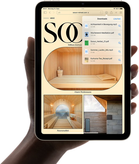 Tab Apple iPad mini 8.3 Wi-Fi 64GB (polarstern) B-Ware_4