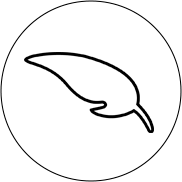 HP ZBook Fury 16 G11 62X61EA_6