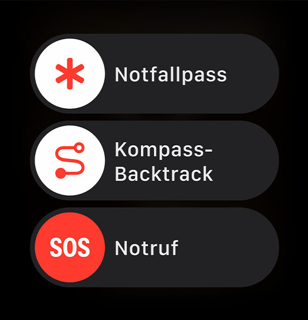 Apple Watch S10 Schiefer Titanium Milanese Loop Schiefer- S/M_8