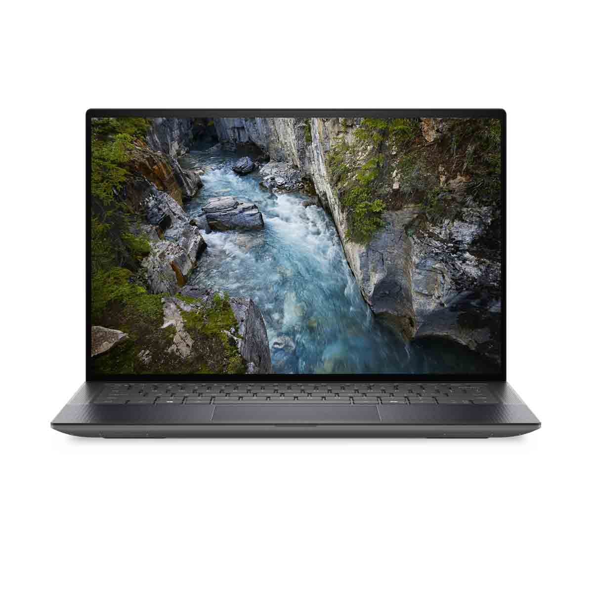 Bild von Dell Precision 5490 (VV9Y2)