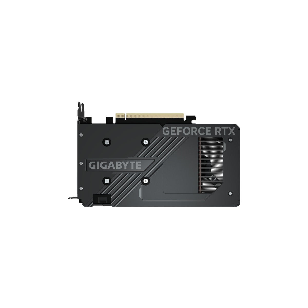 Bild von GIGABYTE GeForce RTX 5050 8GB Windforce OC Grafikkarte - 8GB GDDR6, 2x HDMI, 2x DP