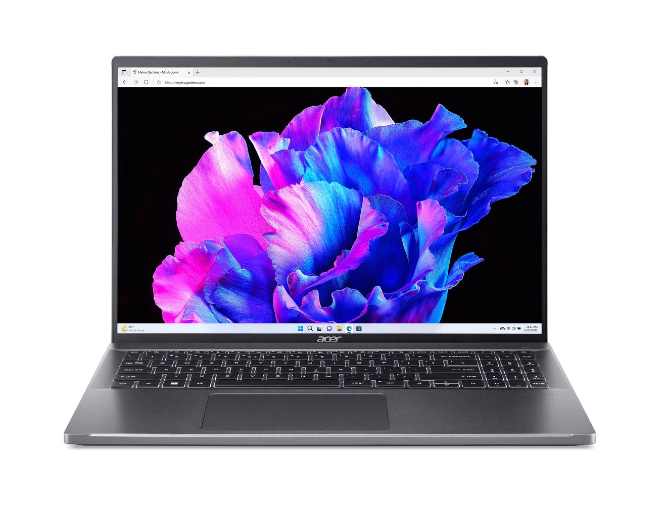 Bild von Acer Swift Go (SFG16-71-78CN)
