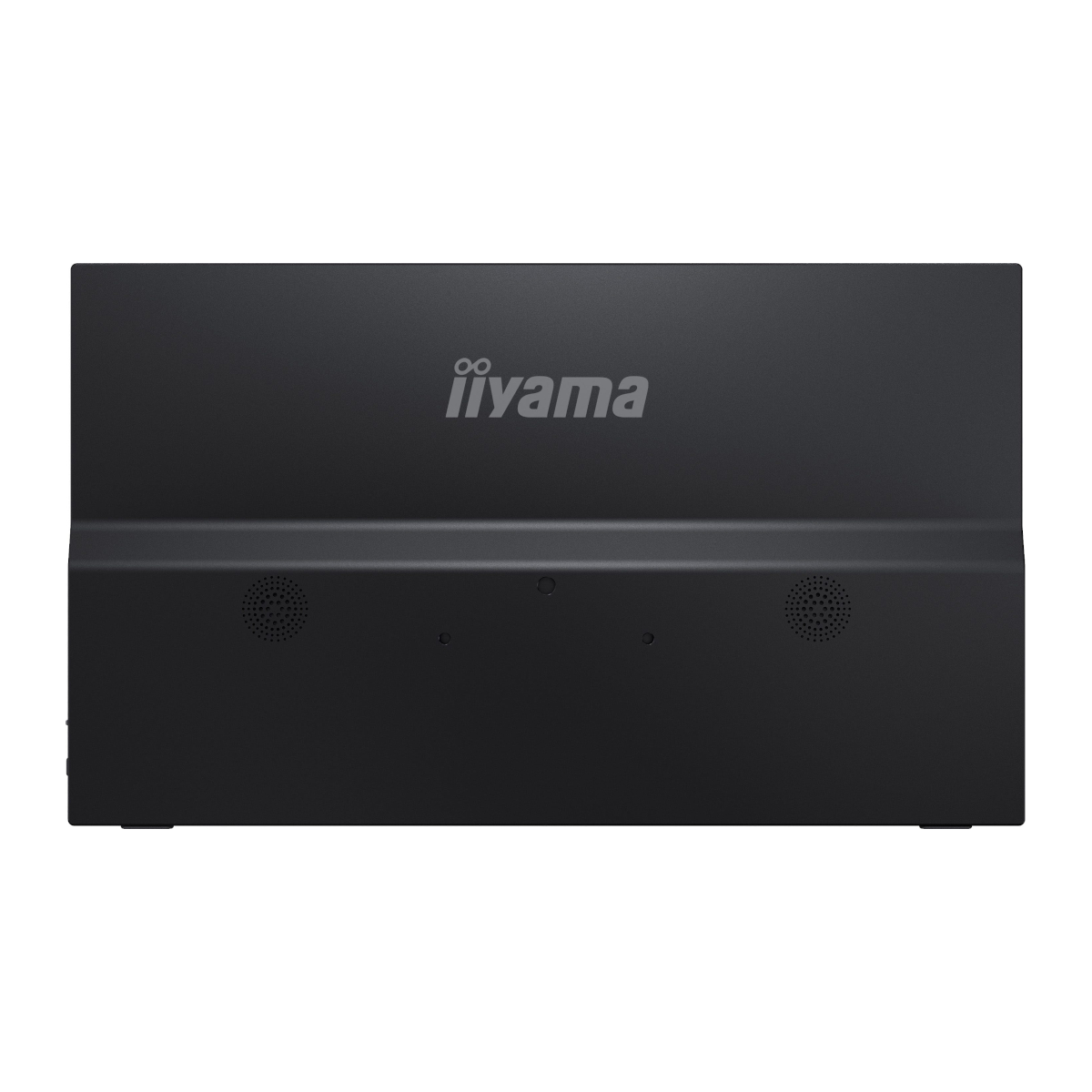 Bild von Iiyama P1671HSC-B1