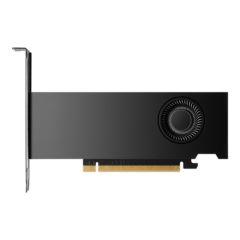 Bild von NVIDIA RTX 2000 Ada Generation - 16GB GDDR6, 4x mDP