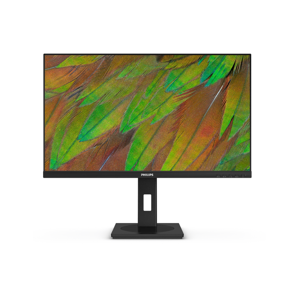 Bild von Philips 27B1N3800/00