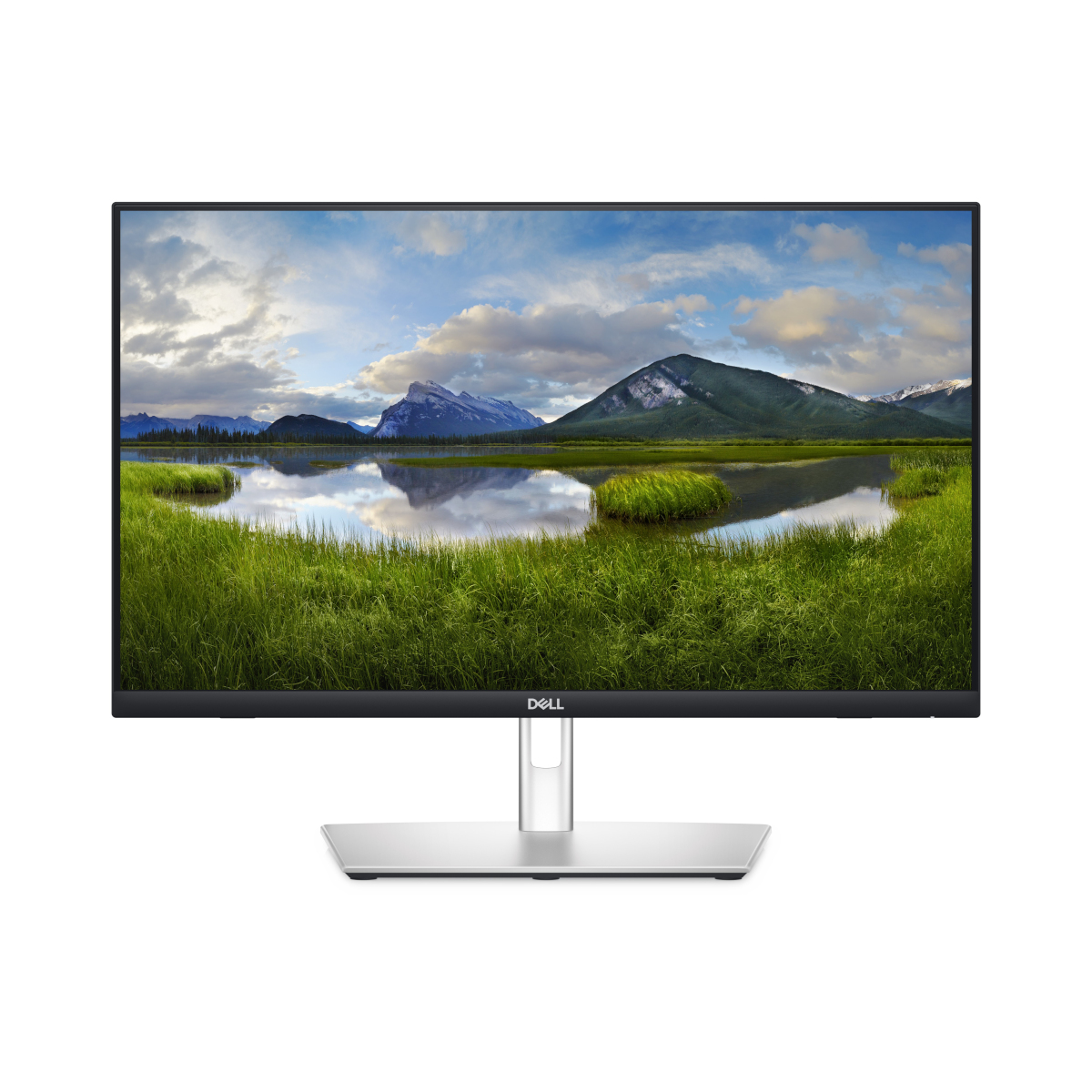 Bild von DELL P2424HT Office Monitor