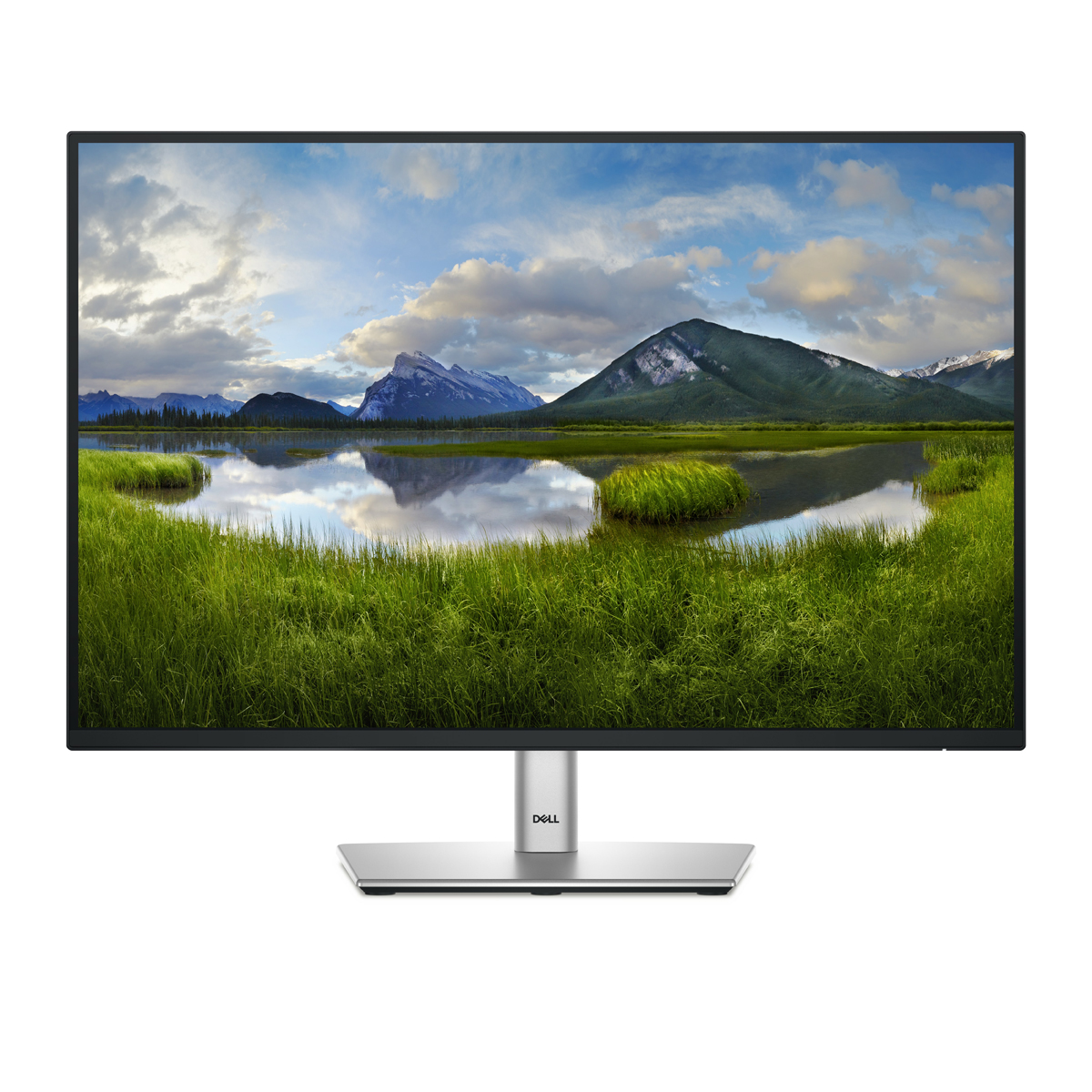 Bild von DELL P2425E Office Monitor