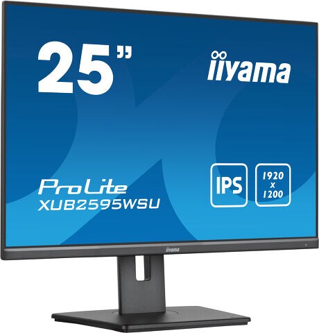 Iiyama ProLite XUB2595WSU-B5_1