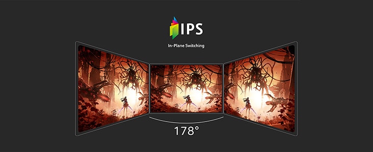 Predator XB253Q F3 Bild - IPS-Panel