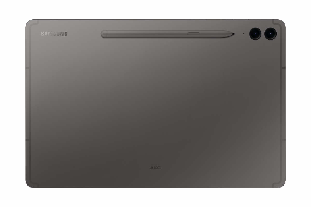 Bild von Samsung Galaxy Tab S9 FE+ Wi-Fi Gray