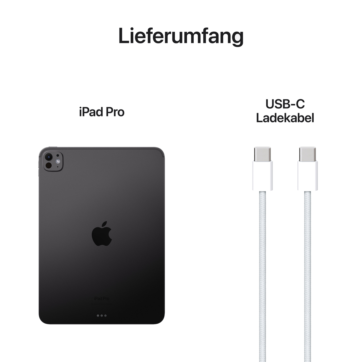 Bild von Apple iPad Pro 11 Wi-Fi 2TB space schwarz (5.Gen.)